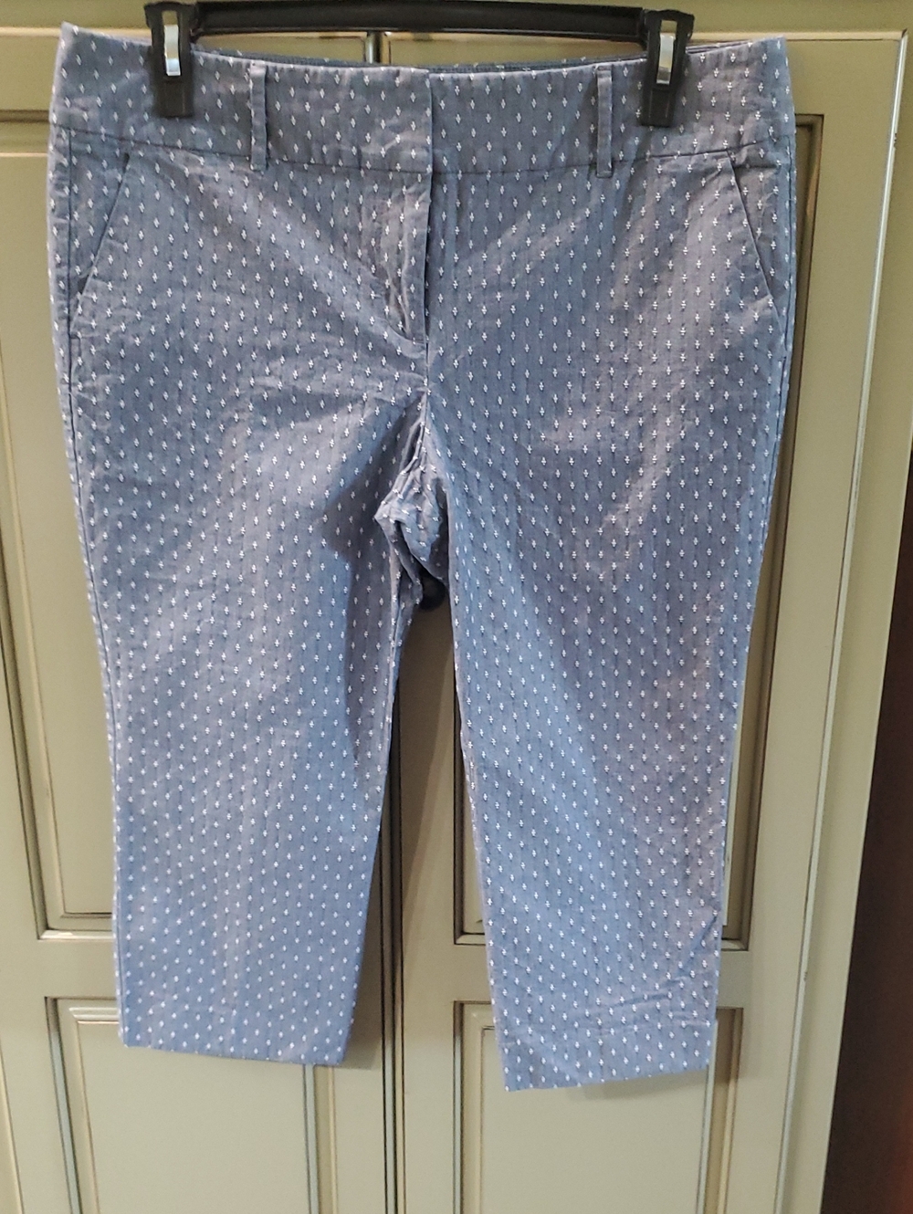 Light Blue Polka Dot Cropped Pants